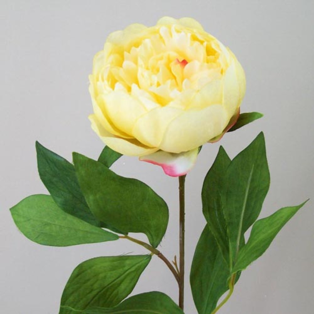 Peony Flowers Yellow 60cm Artificial Flowers